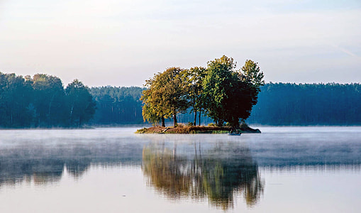 panoramic photo of green leaf trees on body of water at daytime thumbnail
