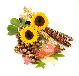 assorted fruits, plants and flowers thumbnail