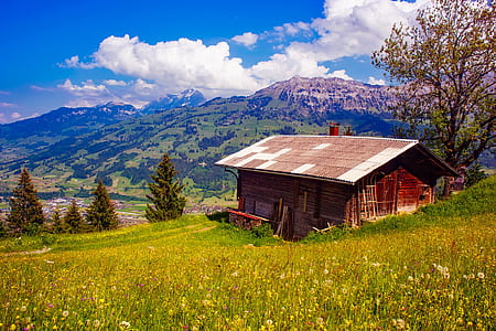 wood, landscape, mountains, sky thumbnail