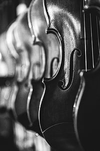 greyscale photo of violins thumbnail