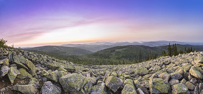 gray stone beside forest with mountain background thumbnail
