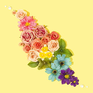 red and blue flower arrangement on yellow surface thumbnail