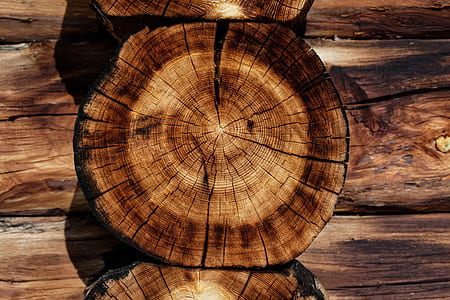 brown wood slab photography thumbnail