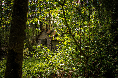 brown house surrounded by trees thumbnail
