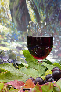wineglass filled with wine thumbnail