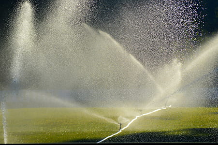 person throwing water on plants thumbnail