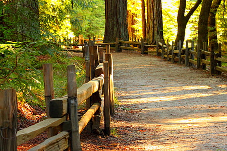 empty gray road with brown wooden hand rails thumbnail