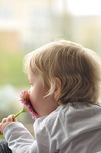 blonde haired baby holding pink daisy flower thumbnail