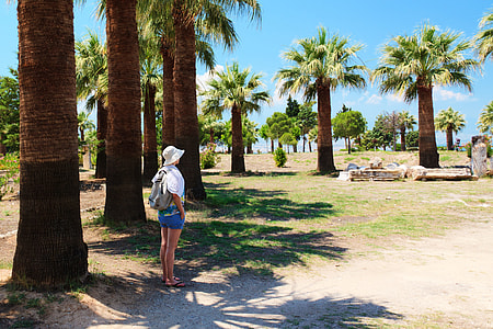 woman standing beside palm tree in beach thumbnail