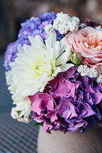selective focus photo of petaled flowers thumbnail