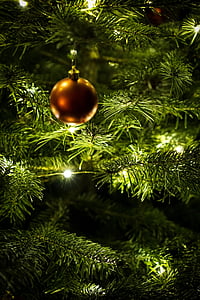 green christmas tree thumbnail