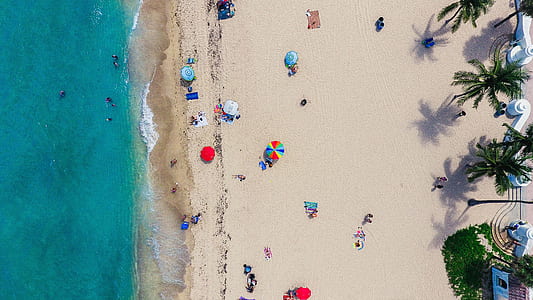 aerial photography of people on seashore near tall coconut tree at daytime thumbnail
