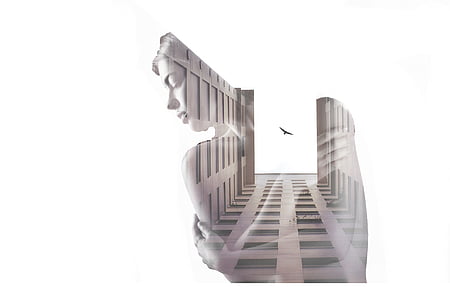 double exposure, photographing, contact, human, exposure, tree thumbnail