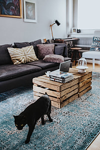 Designer living room interior with a wooden box table and a light blue carpet thumbnail