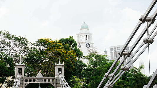 white tower and green leafed trees thumbnail