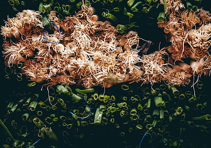 green and brown vegetables thumbnail