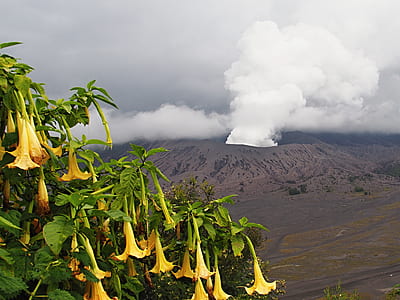 white smoke coming out of brown volcano thumbnail