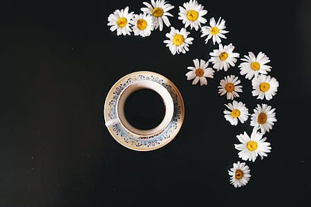 caffeine, coffee, cup, flowers thumbnail