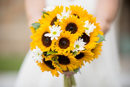 Close-Up Photo of Bouquet thumbnail