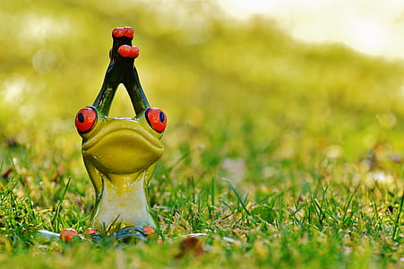close up photo of green ceramic frog on green grass at daytime thumbnail
