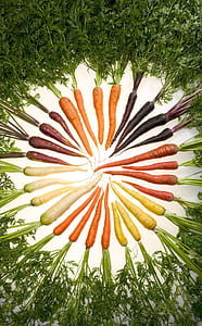closeup photo of carrots artwork thumbnail