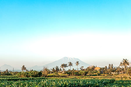 landscape, clouds, field, blue thumbnail