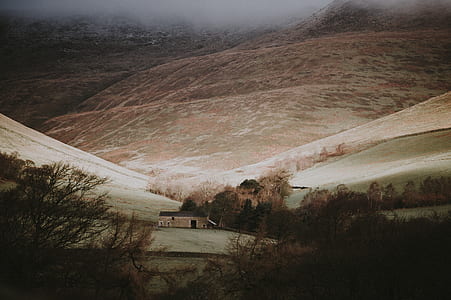 house surrounded of mountain and trees thumbnail
