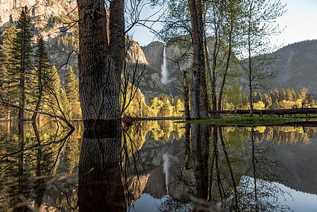 trees on calm body of water overlooking Angel falls at daytime thumbnail