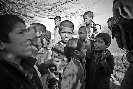 children's standing near bare tree thumbnail