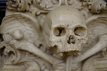white ceramic skull thumbnail