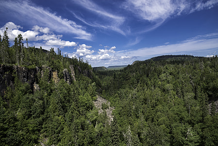 Forest and Canyon landscape at Eagle Canyon, Ontario thumbnail