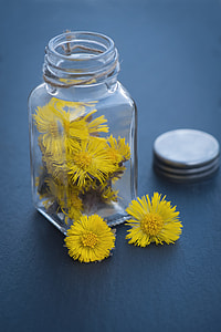mason jar with yellow petaled flowers thumbnail