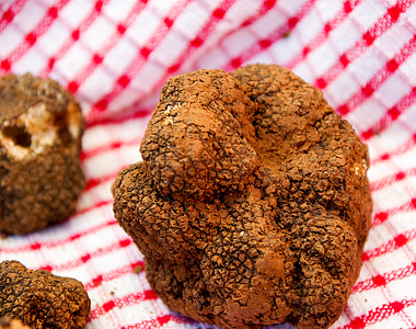 truffles thumbnail