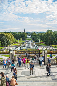 People on Park at Daytime thumbnail