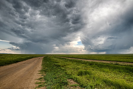 photography of widening road with grass thumbnail