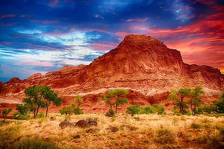 trees on brown field with mountains in distance thumbnail