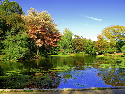 trees beside body of water at daytime thumbnail
