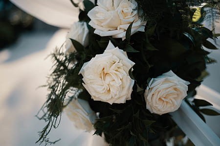 White Rose Flowers Bouquet thumbnail