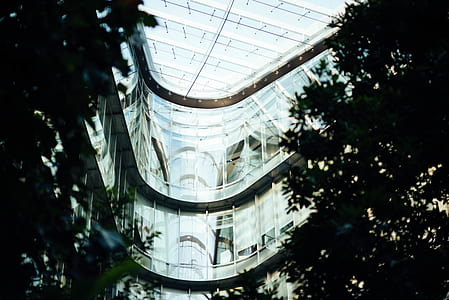 green leafed tree inside building thumbnail