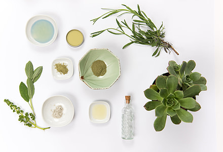 green potted succulent with glass bottle, and ceramic plates thumbnail