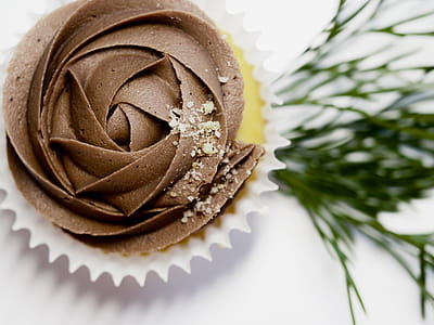 Cupcake With Chocolate Icing thumbnail
