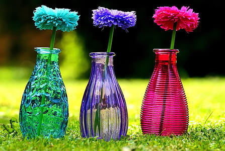 three assorted-color flowers with vases on grass thumbnail