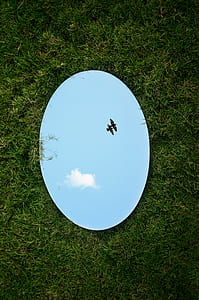 round mirror lying on grass thumbnail