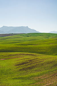 green grass field under blue sky thumbnail