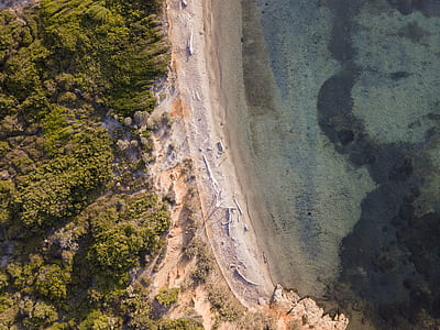 aerial photography of shore near green trees thumbnail