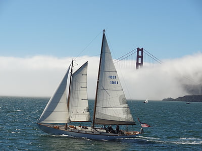 white boat near bridge thumbnail