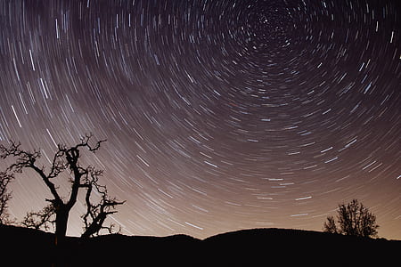 time lapse photography of stars above tree silhouette thumbnail