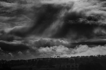 grayscale photo of trees under clouds thumbnail