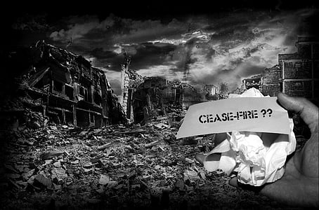 person holding white paper grayscale photo thumbnail