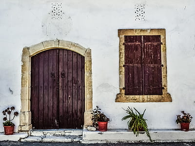 white wall paint house with plant pots thumbnail